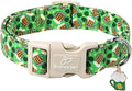 Babole Pet St Patricks Day Dog Collar for Medium Dogs - Green Beer Shamrock Dog Collars for Boys&Girls Dogs, Adjustable Irish Clover Puppy Collar with Quick Release Buckle M