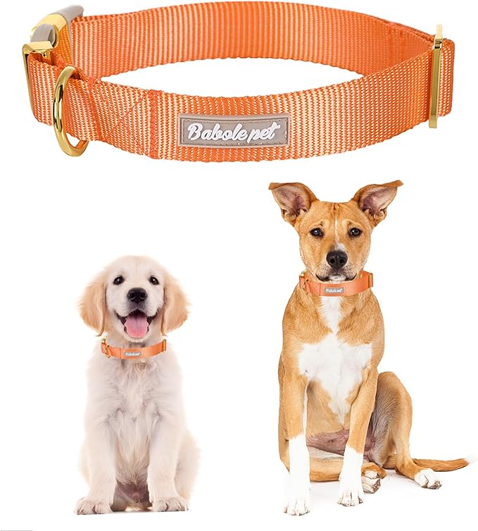 Babole Pet Nylon Dog Collar - Adjustable Orange Soft Webbing Dog Collars for Small Medium Large Dogs Boy Girl Puppy Collar with Safety Metal Buckle L