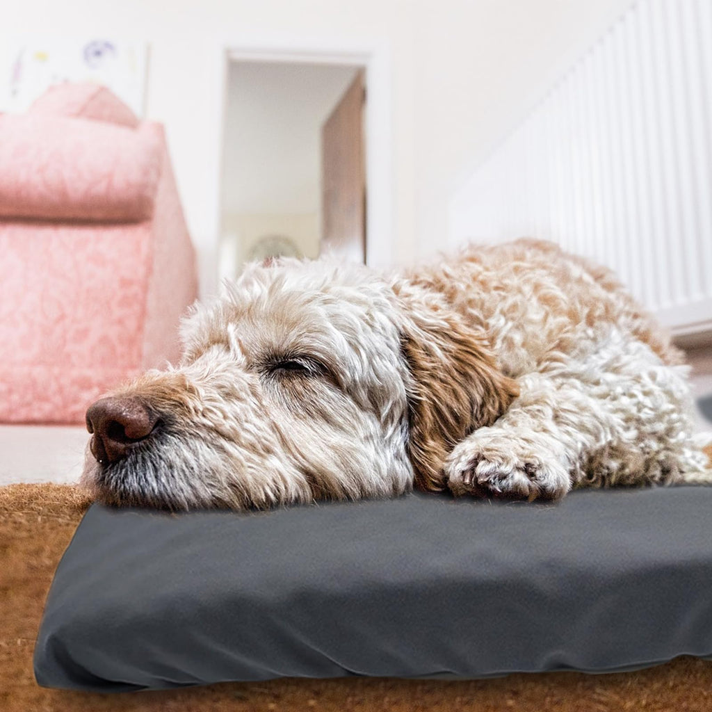 Dog Bed Cover Waterproof Replacement Machine Washable Covers for Dog Bed Heavy Duty Scratch Resistant Mattress Protector Pet Bed 24x18 Inch Grey Cover Only