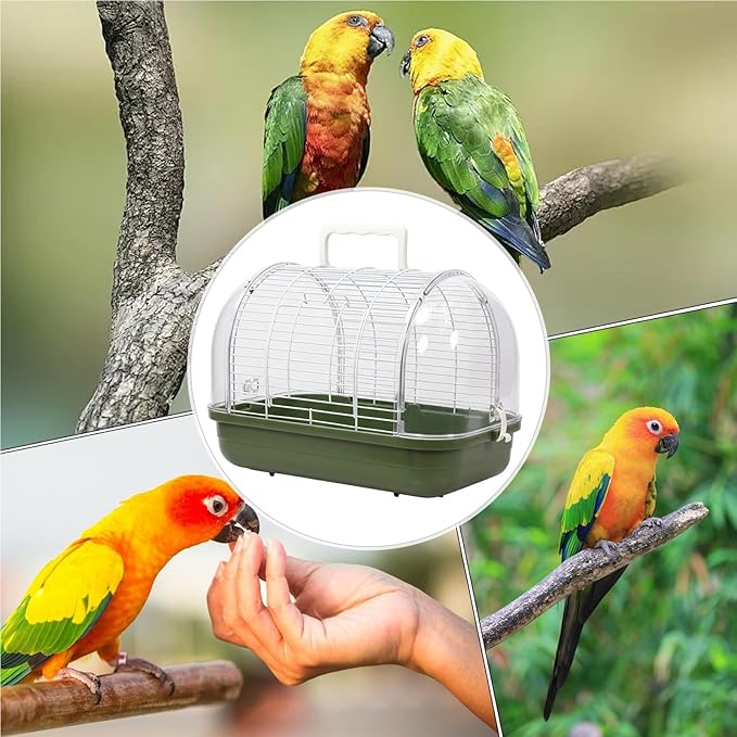 Small Bird Cage, Transparent Bird Travel Carrier, Full View Cockatiel Cage with Sturdy Design, Compact Aviary with Durable Construction, Indoor Outdoor Balcony Living Room Park Parakeet