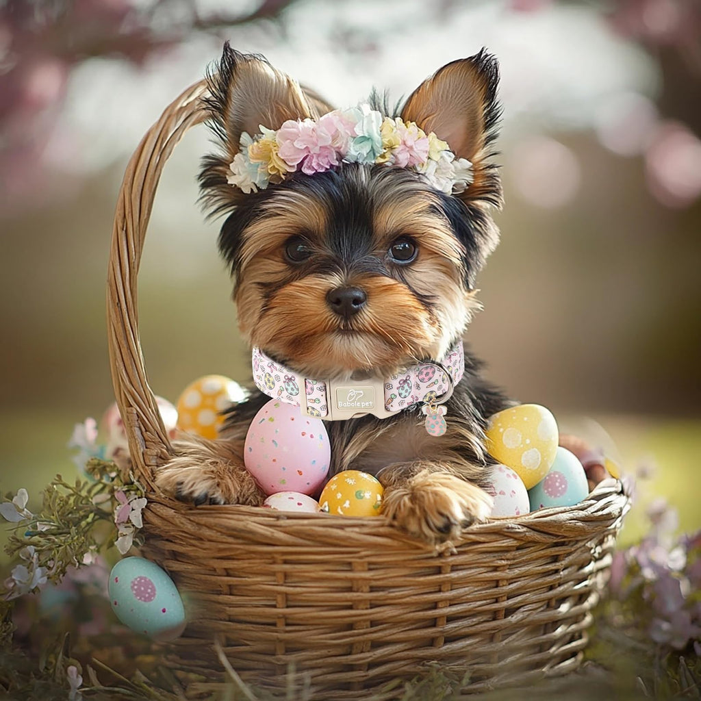 Babole Pet Easter Dog Collar for Giant Large Dogs - Easter Egg Pastel Dog Collars, Cute Girl Dogs Collar, Lightweight Adjustable Pink Spring Holiaday Dog Collars with Quick Release Bucklee XL