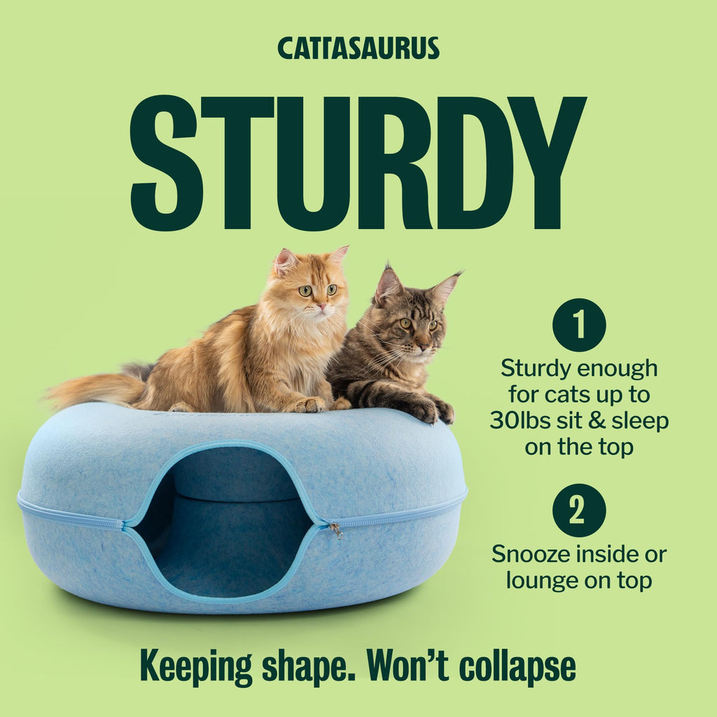 Cattasaurus Peekaboo Cat Cave Donut for Multiple & Large Cats up to 30-45 lbs, 3-in-1 Self Warming Cat Bed, Tunnel & Scratcher for Indoor Cats, Washable & Detachable Small Dog Bed (Blue, Jumbo)