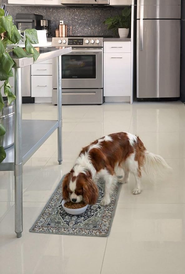 LOVEWAG Waterproof 2-Pack Pet Feeding Mats - 16" x 24" Premium Cat & Dog Food Mat - Non-Slip, Machine Washable Food Mat Protects Floors & Contains Water Bowl Spills - Pet Place Mats (Peacock Garden)
