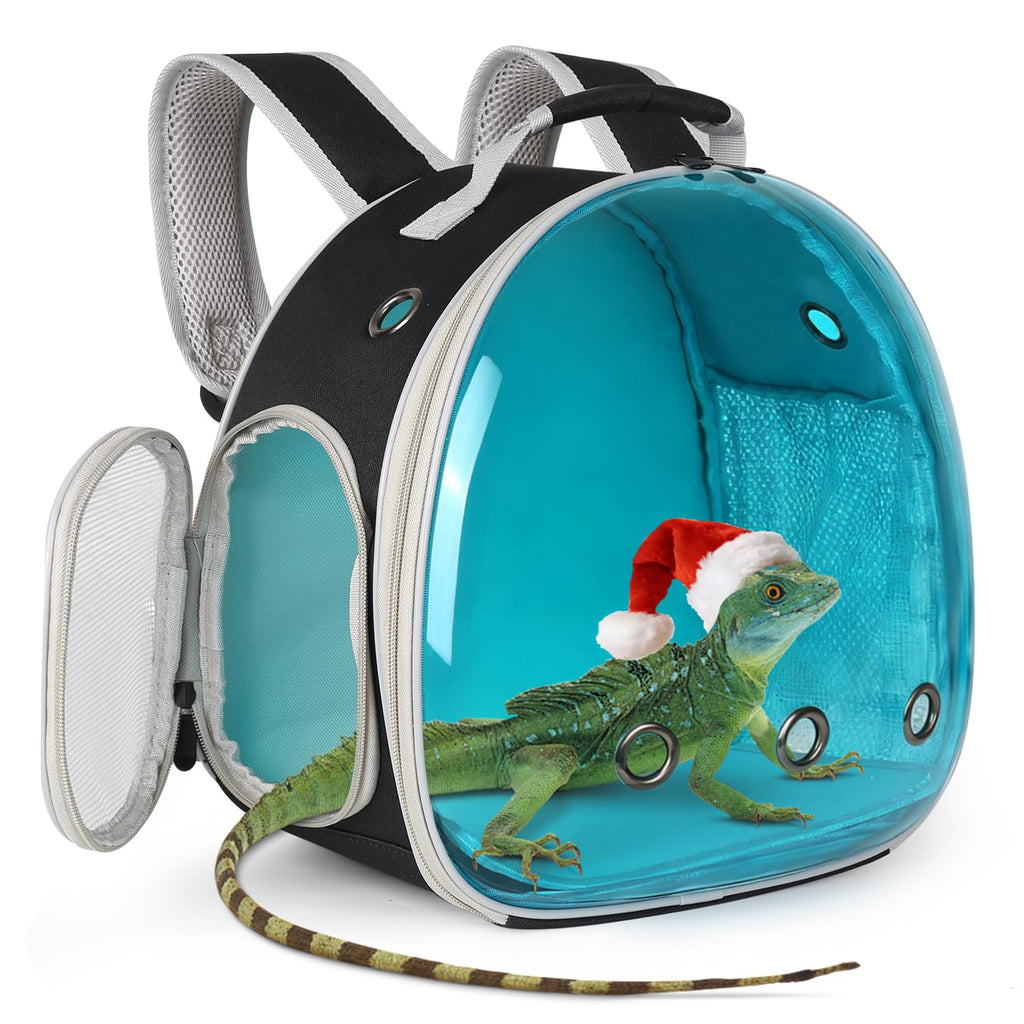 Guinea Pig Carrier,Guinea Pig Carrier for 2,Ventilation Carrier for Bearded Dragon,Reptile Travel Carrier for Lizards Sugar Glider Hedgehog Rat Parrot Birds,Airline Approved Green