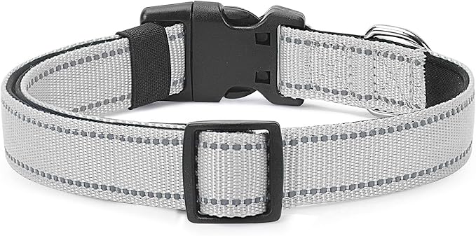 PenSeepet Reflective Dog Collar Padded with Soft Neoprene Breathable Quick Release Basic Dog Collars for Medium Large Dogs Boy Girl Silver