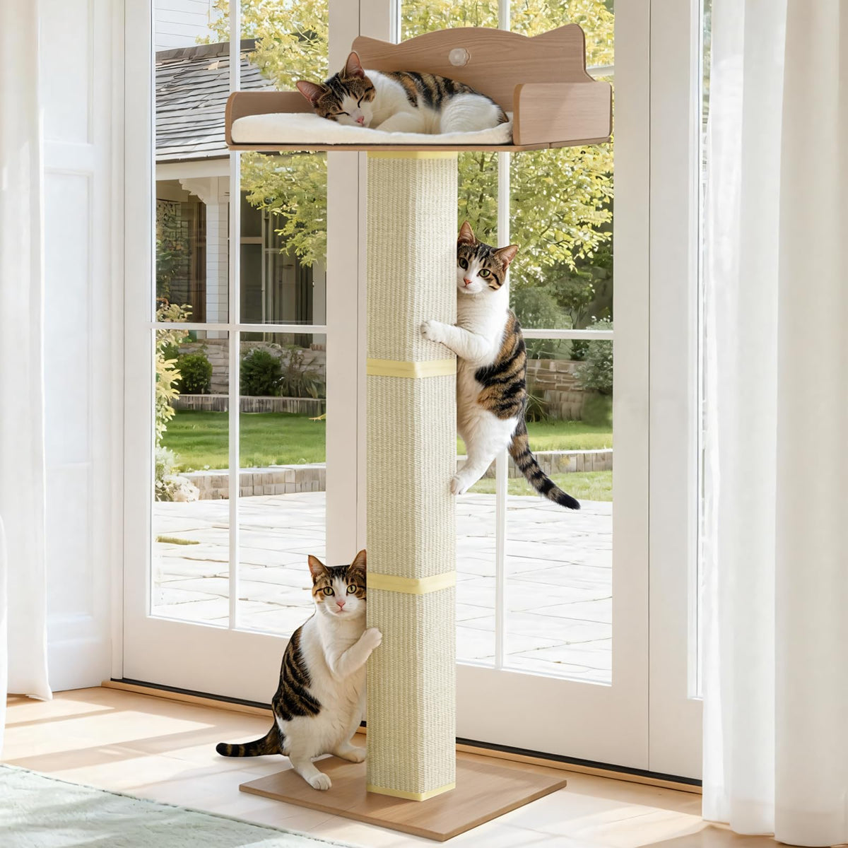 Solid Wood Cat Window Perch with 2 Jumping Platforms, Cat Hammock for Window with Scratching Post, Sisal Tall Cats Scratching Post with Large Perch, Wooden Cats Window Bed with 2 Suction Cups