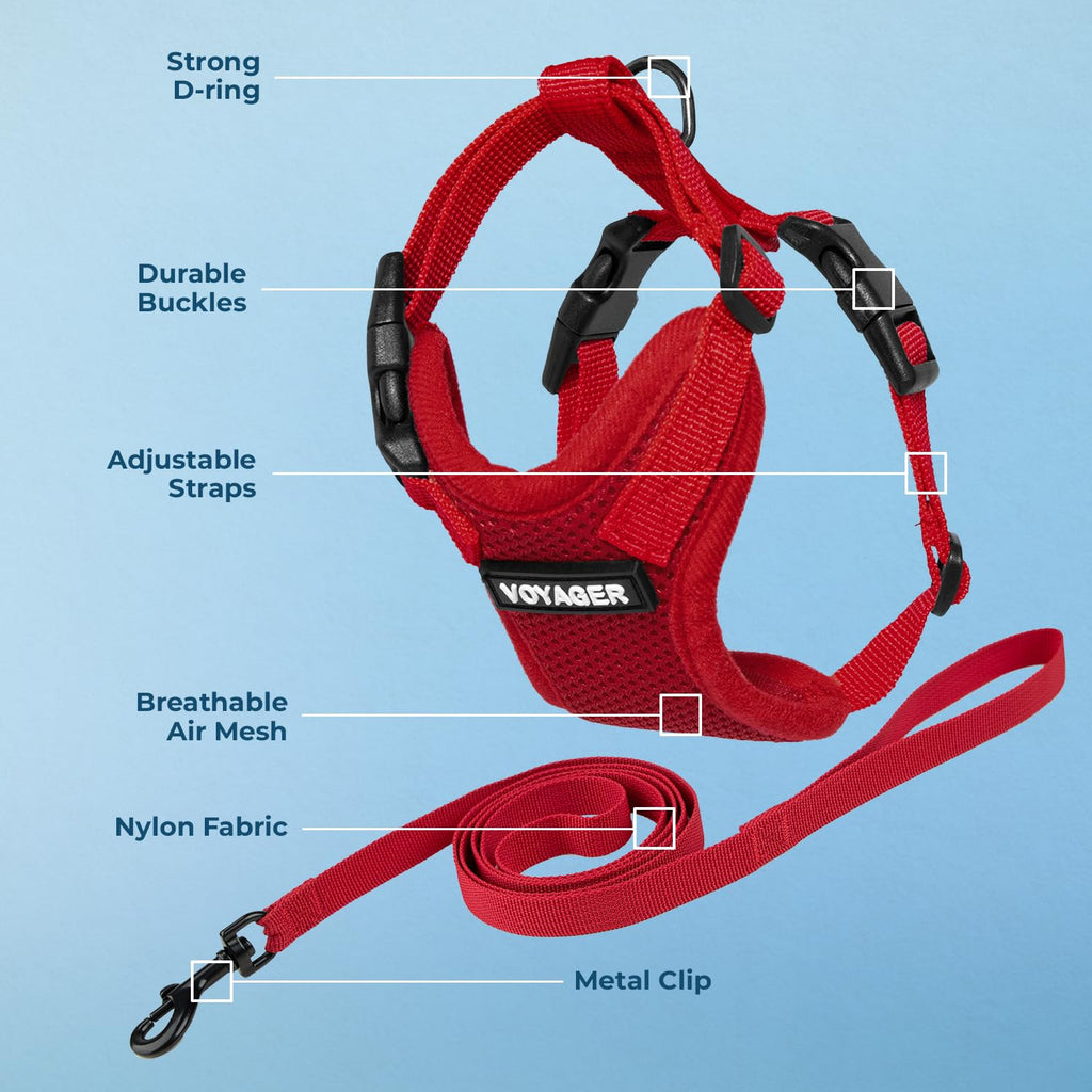 Voyager Escape-Proof Step-in Lock Cat Harness & 5ft Neoprene-Handle Leash Set All-Weather Mesh with Reflective Stitching for Small to Large Cats by Best Pet Supplies, Red, XXXS