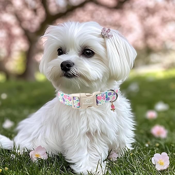 Babole Pet Floral Dog Collar for Small Dogs - Pink Purple Tulips Print Dog Collars, Spring Summer Cute Flower Puppy Collar, Lightweight Adjustable April Holiday Boy Girl Dogs Collars S