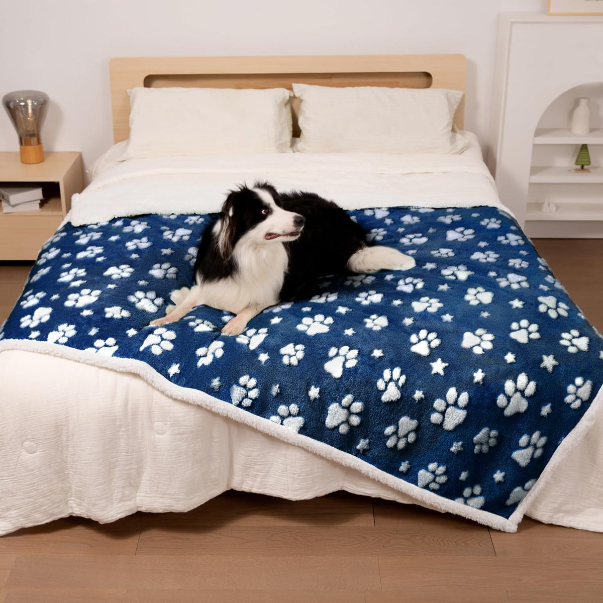 Yaning Cute Waterproof Blanket for Dog Puppy Cat, 30"x40", Purple