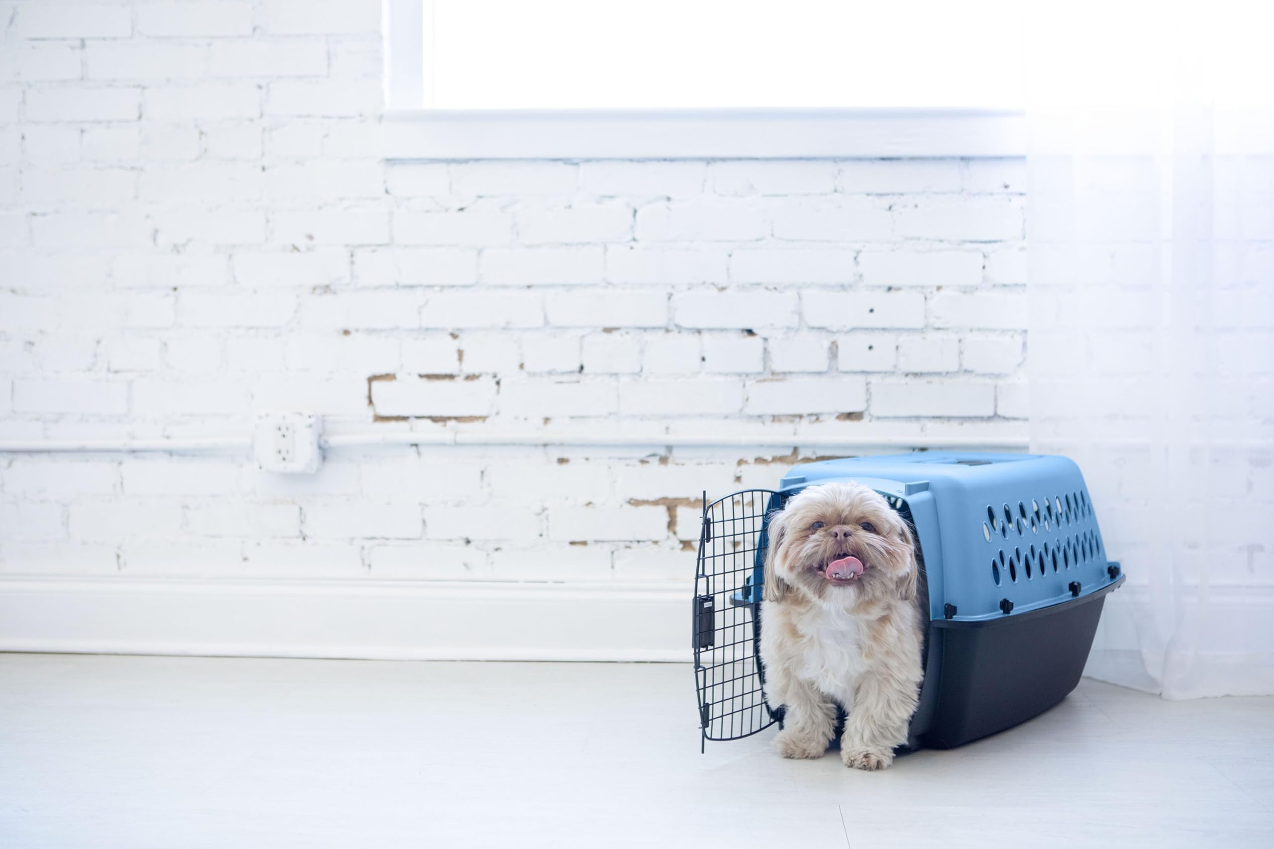Petmate Fashion Vari Dog Kennel - Portable Crate for Pets 10-20 lbs - Airline-Friendly Pet Carrier - Durable Plastic Shell - For Home and Travel - Made in USA - 24 Inches - Light Blue