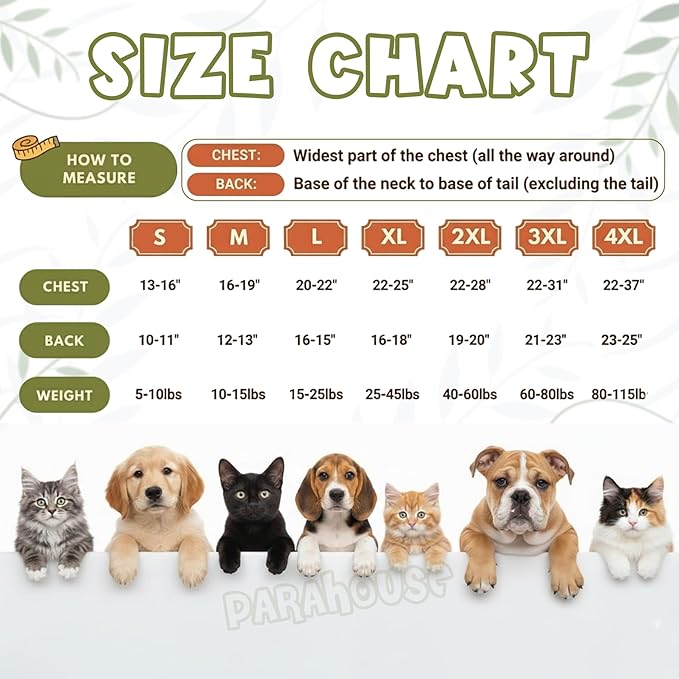Personalized Dog Hoodie, Custom Embroidered Name Pet Hoodie, Warm Winter Outfit for Dogs, Pet Clothes, Gift for Dog Lovers 3