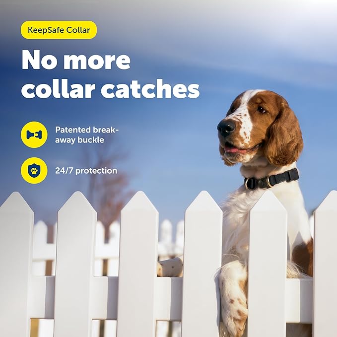 PetSafe KeepSafe Break-Away Collar 3/4 in Wide, Small, Black Prevent Collar Accidents for Your Dog or Puppy Improve Safety, Compatible with Leash Use, Adjustable Sizes