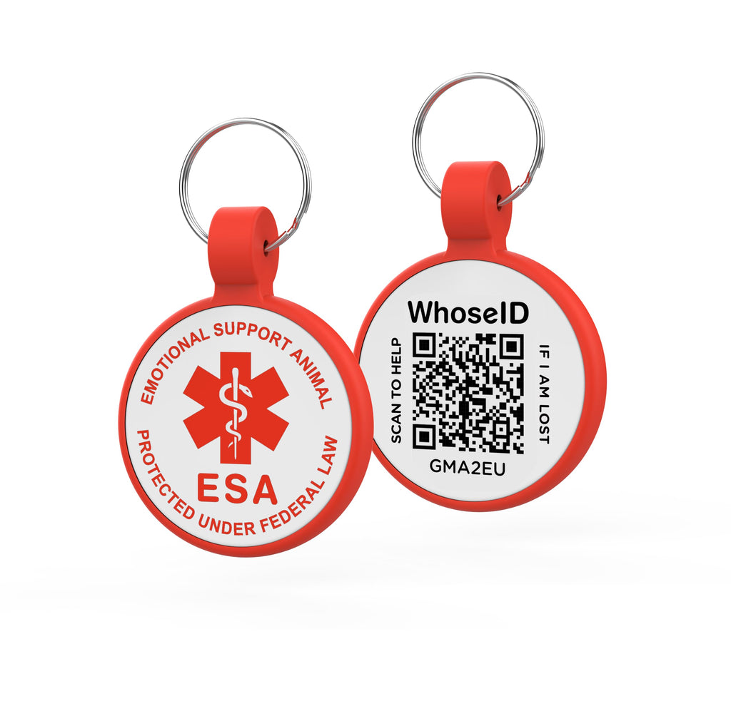 [Pack of 2] Dog Tags Personalized for Pets - Writeable Cat & Dog Name Tag