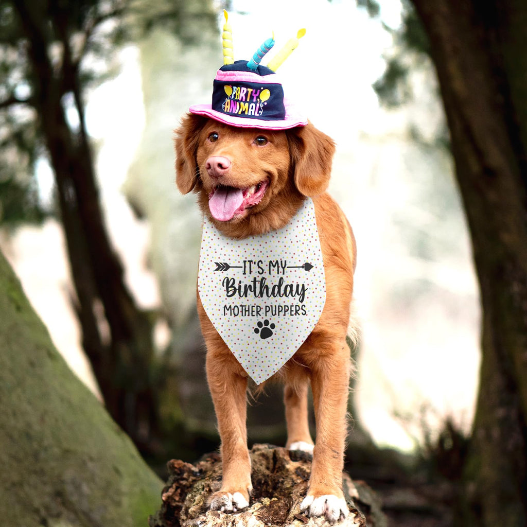 It's My Birthday Mother Puppers White Dog Bandana Birthday Gifts for Dogs Photo Prop Party Supplies Puppy Dog Pet Bandanas Pet Scarf Accessories for Dog Mom