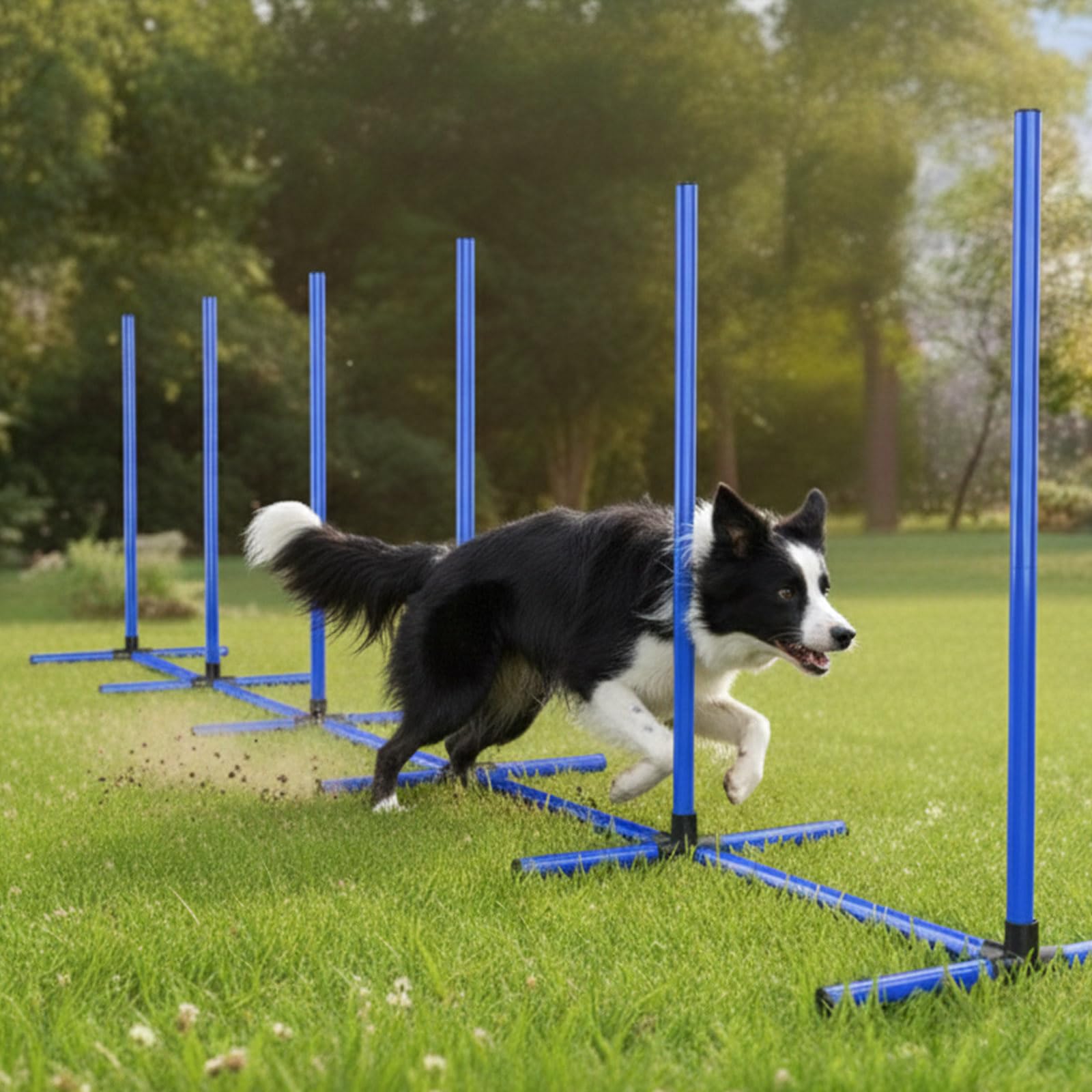 MAICOBI 6 Weave Poles or 2 Hurdle Dog Agility Set, Indoor & Outdoor