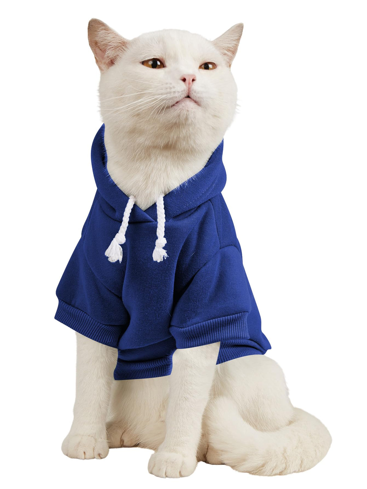 QWINEE Basic Dog Hoodie Sweatshirt Puppy Sweater Warm Cat Costumes Pet Clothes for Chihuahua Puppy Kitten Small Medium Dogs Yellow X-Small
