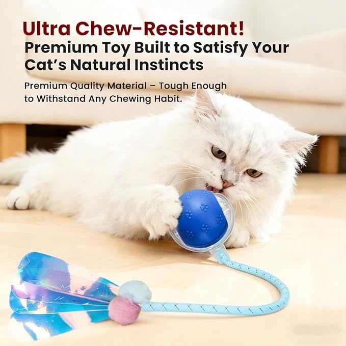 Rocfish Durable Interactive Cat Toys for Indoor Cats (Blue, 03)