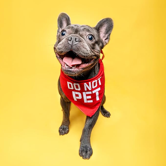 Do Not Pet Dog Bandana (Green, XS 157)