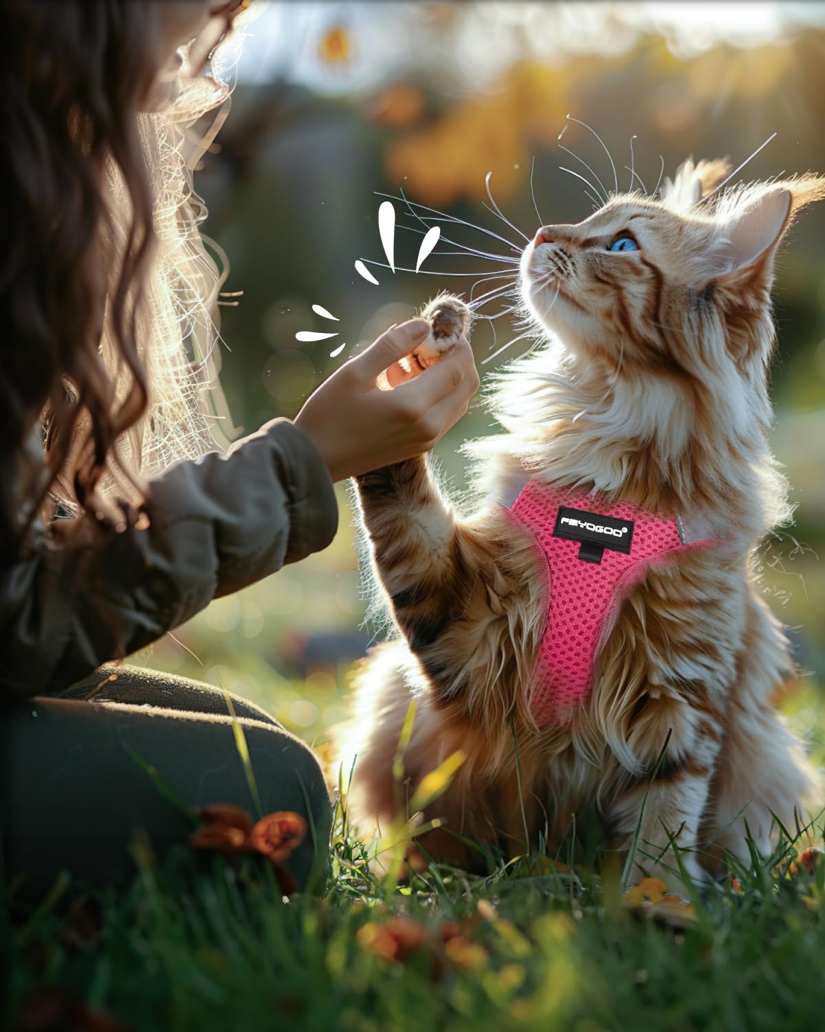 FAYOGOO Cat Harness and Leash Set, Escape-Proof Step-in Vest for Walking