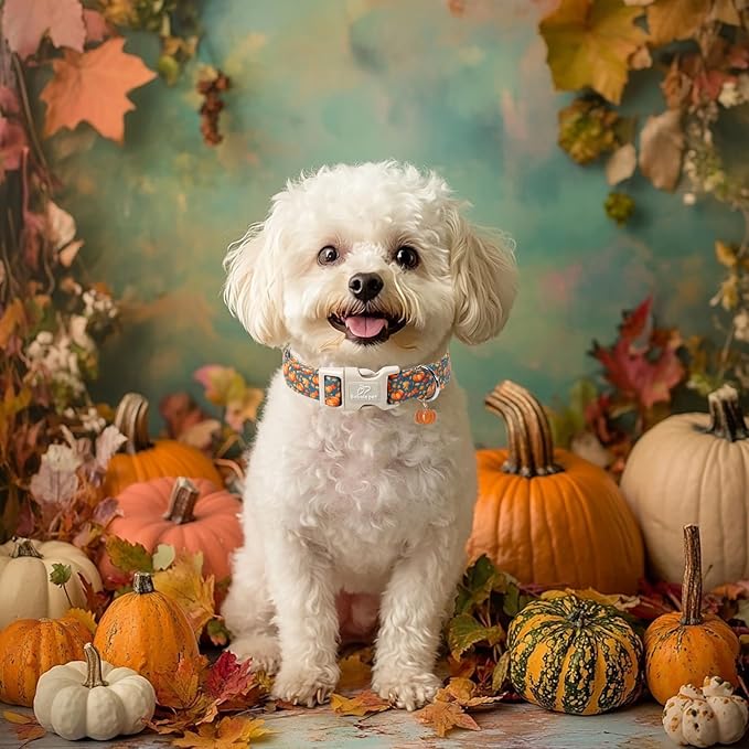 Babole Pet Fall Dog Collar Cute Autumn Pumpkin Puppy Collar - Light Comfortable Adjustable Pet Collars for Small Medium Large Girl Boy Dogs L