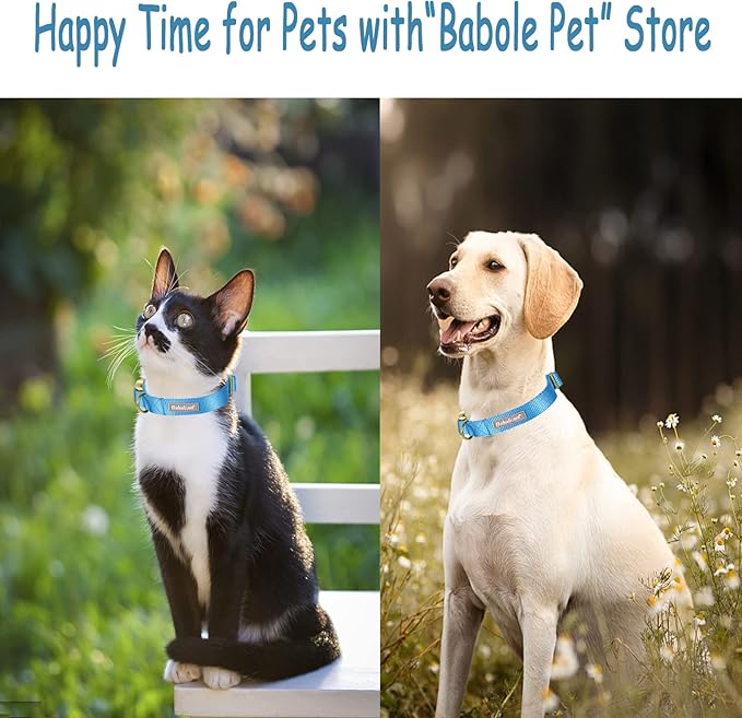 Babole Pet Nylon Dog Collar - Adjustable Blue Soft Webbing Dog Collars for Small Medium Large Dogs Boy Girl Puppy Collar with Safety Metal Buckle XS