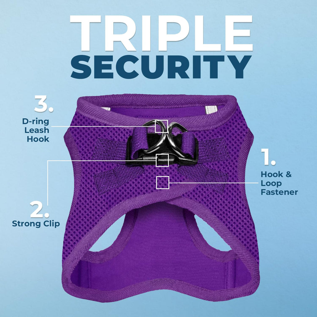 Best Pet Supplies Voyager Step-in Air All Weather Mesh Harness and Reflective Dog 5ft Leash Combo with Neoprene Handle, for Small, Medium and Large Breed Puppies - Purple, Medium