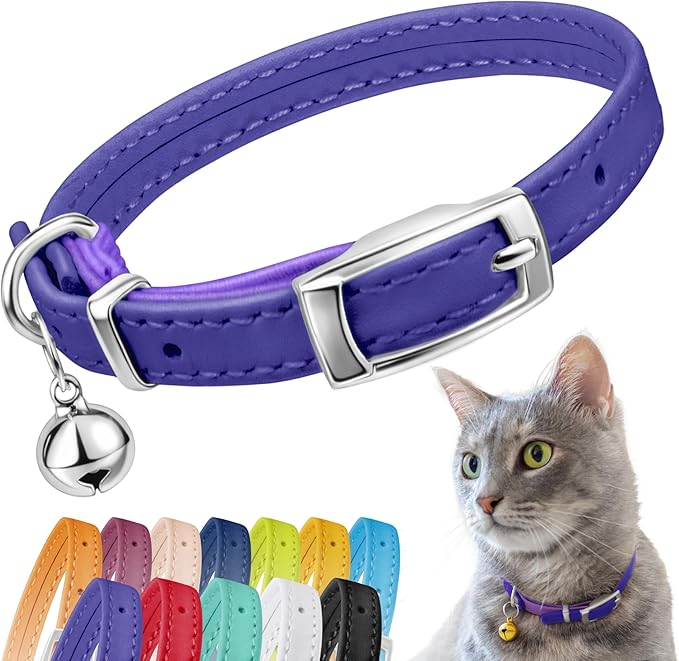 CollarDirect Leather Cat Collar, Kitten Collar with Removable Bell Black Blue Red Orange Lime Green (6-7 Inch, Purple)