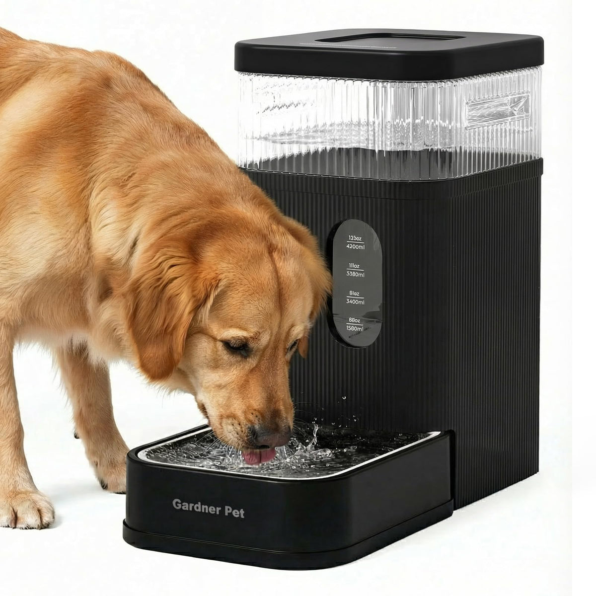 1.7 Gallon Automatic Dog Water Dispenser with Stainless Steel Bowl