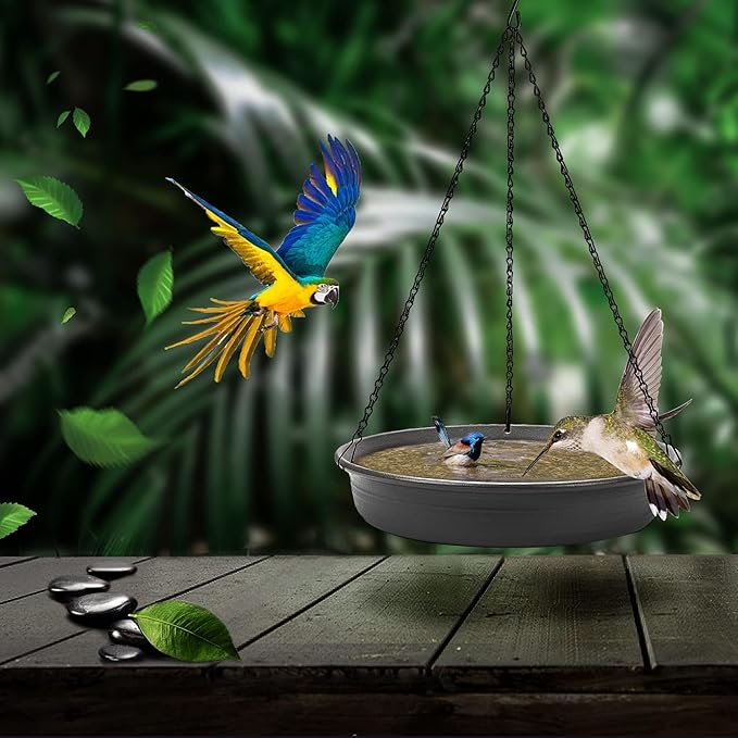 CARGEN Hanging Bird Bath Bowl - Window Bird Water Feeder Tray for Outdoors