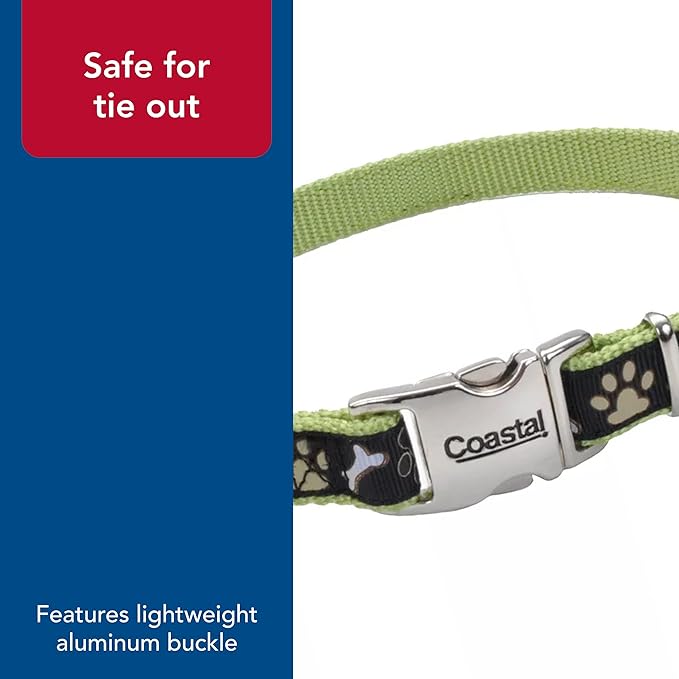 Coastal Pet - Ribbon - Adjustable Dog Collar with Metal Buckle, Brown Paws and Bones, 1" x 18"-26"
