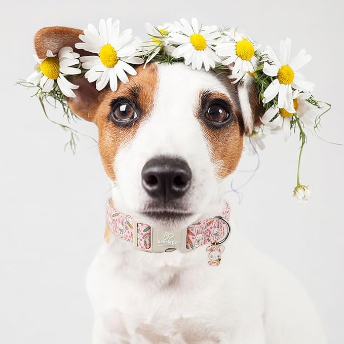 Easter Dog Collar for Small Dogs - Pink Girly Bunny Dog Collars, Cute Girl Dogs Easter Collar, Adjustable Female Spring Holiday Pet Collars with Quick Release Buckle S