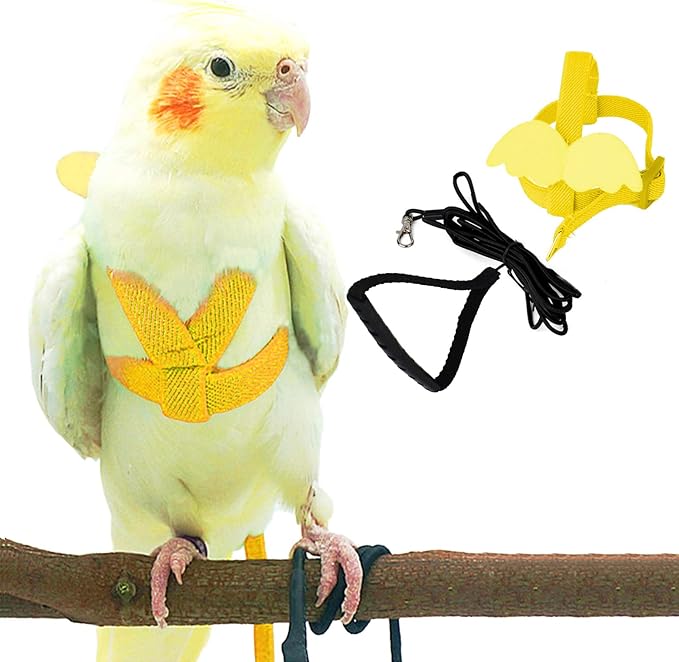 Dnoifne Parrot Harness and Leash, Adjustable Training Design Anti-Bite, Nylon Rope with Cute Wing for Parrots, Suitable for Alexandrine, Scarlet, Keck, Mini Macaw & Same Size Bird (Blue)