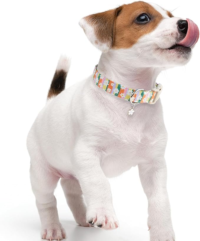Faygarsle Colorful Floral Dog Collar, Cotton Fabric with Daisy Pattern, Multi-Color Stripes Spring Summer Design for Small Medium Large Dogs, XS
