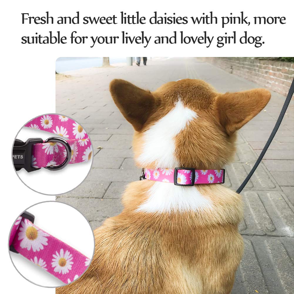 QQPETS Adjustable Soft Dog Collar: Print Flower Pink Multicolor Cute Patterns for XS Small Medium Large Pet Girl Boy Puppy Walking Running Training (XS, Small Daisies)