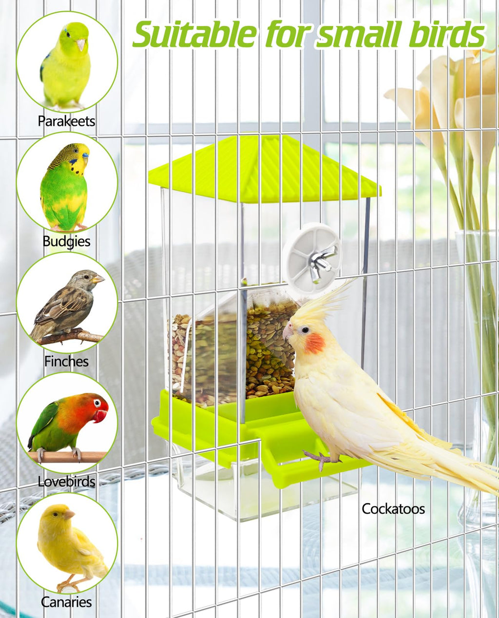 BNOSDM No Mess Automatic Bird Feeder Anti-Splash Bird Feeder Acrylic Transparent Food Container Parrot Cage Accessories for Parakeets Budgies Lovebirds Cockatoos Conures Finches (Green)
