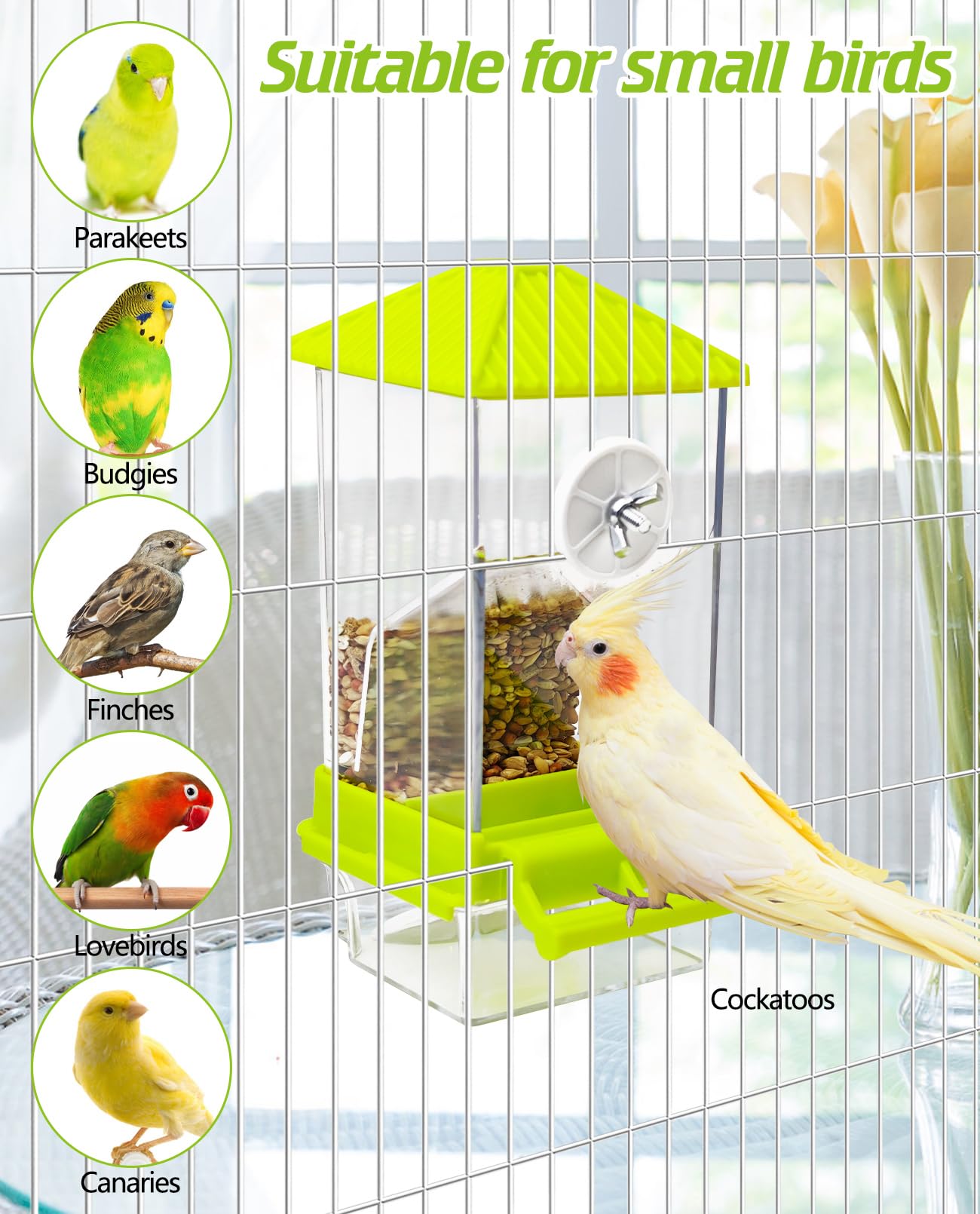 BNOSDM No Mess Automatic Bird Feeder Anti-Splash Bird Feeder Acrylic Transparent Food Container Parrot Cage Accessories for Parakeets Budgies Lovebirds Cockatoos Conures Finches (Green)