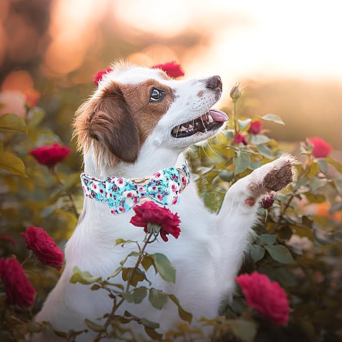 Elegant little tail Dog Collar, Rose Print Pet Collar Summer Dog Collar Durable Metal Buckle Dog Collars Cotton Pet Adjustable Dog Collars for X-Large Dogs, A: Blue Flower