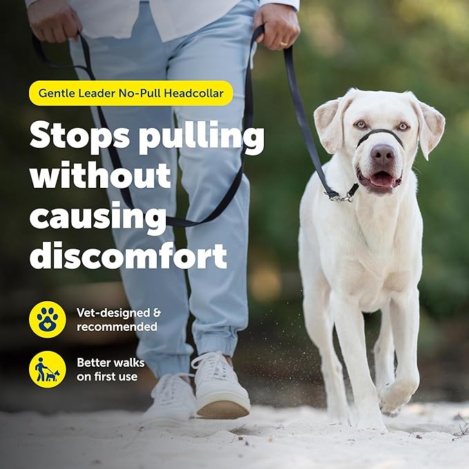 PetSafe Gentle Leader No-Pull Dog Headcollar - The Ultimate Solution to Pulling - Redirects Your Dog's Pulling for Easier Walks - Helps You Regain Control - Large, Charcoal