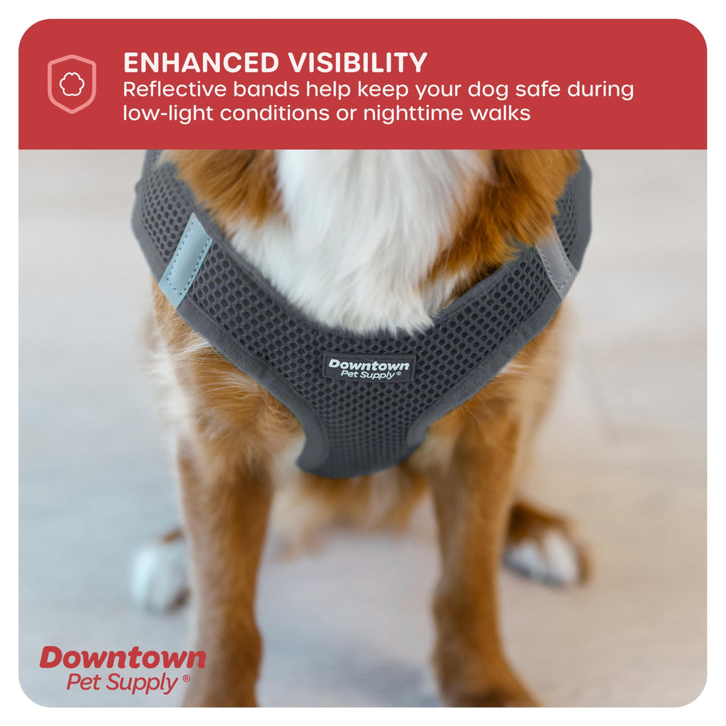 Downtown Pet Supply Step-in Dog Harness – No Pull, Adjustable Padded Mesh with Reflective Trim, Secure Buckle Strap – Comfortable & Breathable Small Dog Harness, Medium, Charcoal