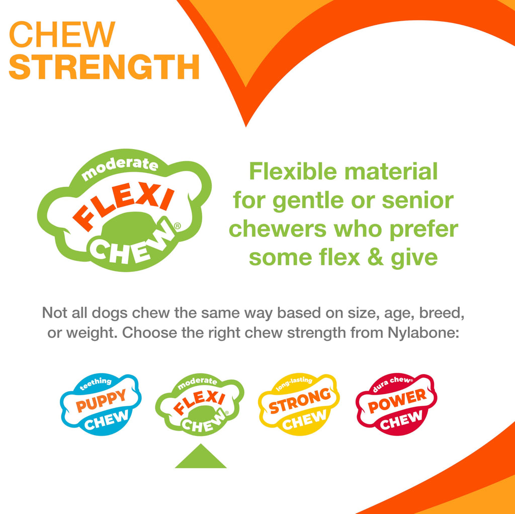 Nylabone Flexi Chew Original Bone Dog Chew Toys, X-Small, 3 Count