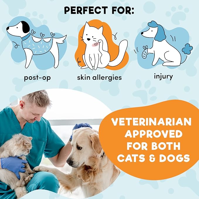 BENCMATE Inflatable Dog Cone Collar Alternative, Soft Dog Cone for Small Medium Large Dogs and Cats, Neck Recovery ECollar Donut Collar After Surgery (Medium+, Blue)