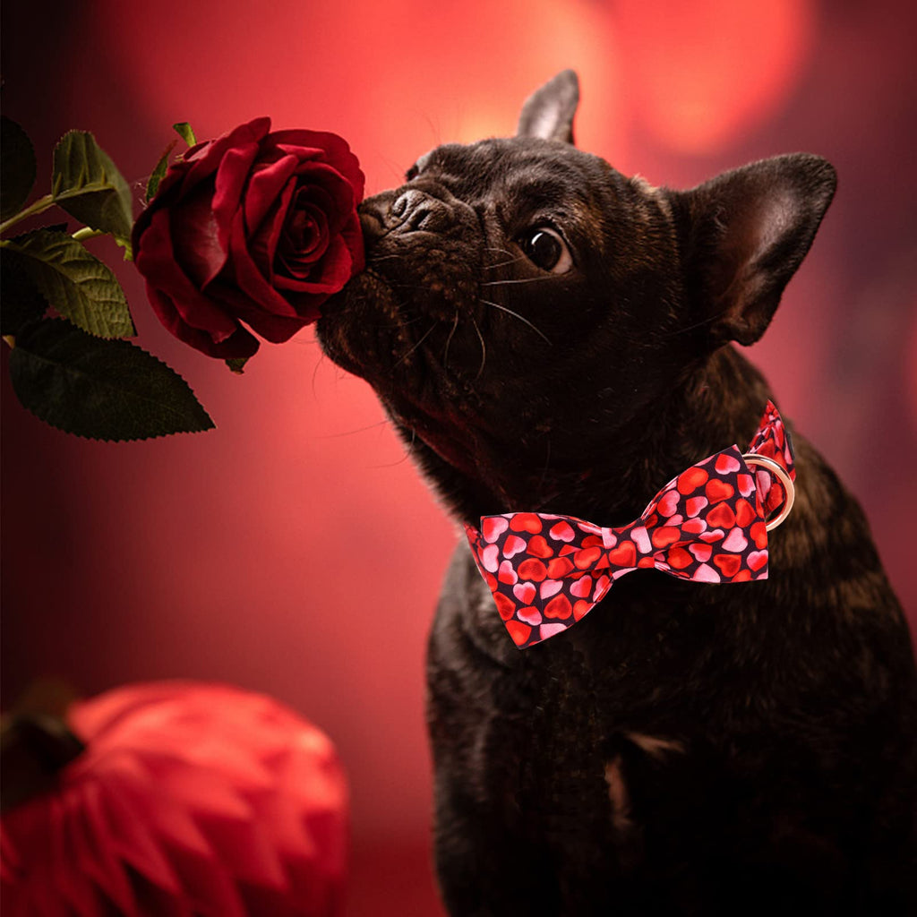 MR. CHUBBYFACE Valentines' Dog Collar with Bowtie Pink Love Pet Collar, Cute Adjustable Puppy Collar for Small Medium Large Dogs