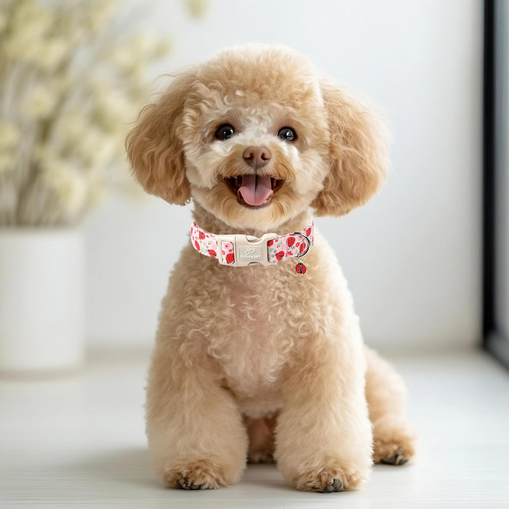 Babole Pet Lucky Ladybug Dog Collar for Puppy Small Dogs - Sweet Pink Girl Dog Collars, Lightweight Adjustable Spring Garden Mom Dogs Collars with Quick Release Buckle XS
