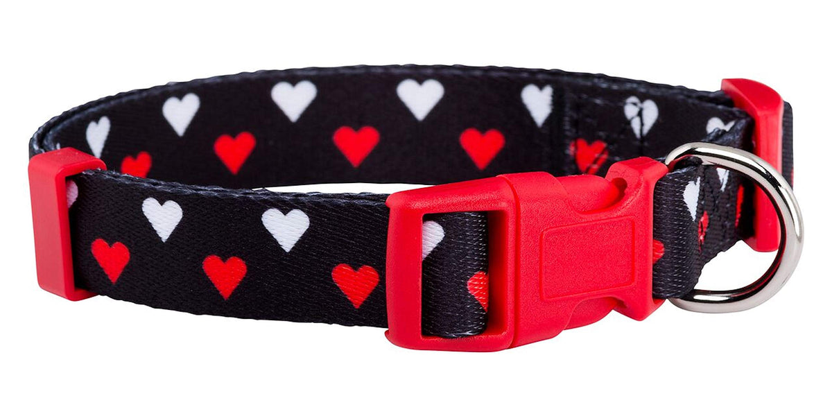 Native Pup Halloween Dog Collar (Large, Bats)