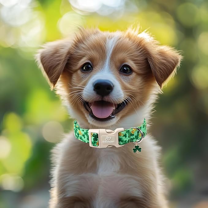Babole Pet St. Patrick's Day Dog Collar for Small Dogs - Green Shamrock & Yellow Flower Print Dog Collars, Cute Irish Party Puppy Collar, Lightweight Adjustable St. Patricks Day Pet Collars XS