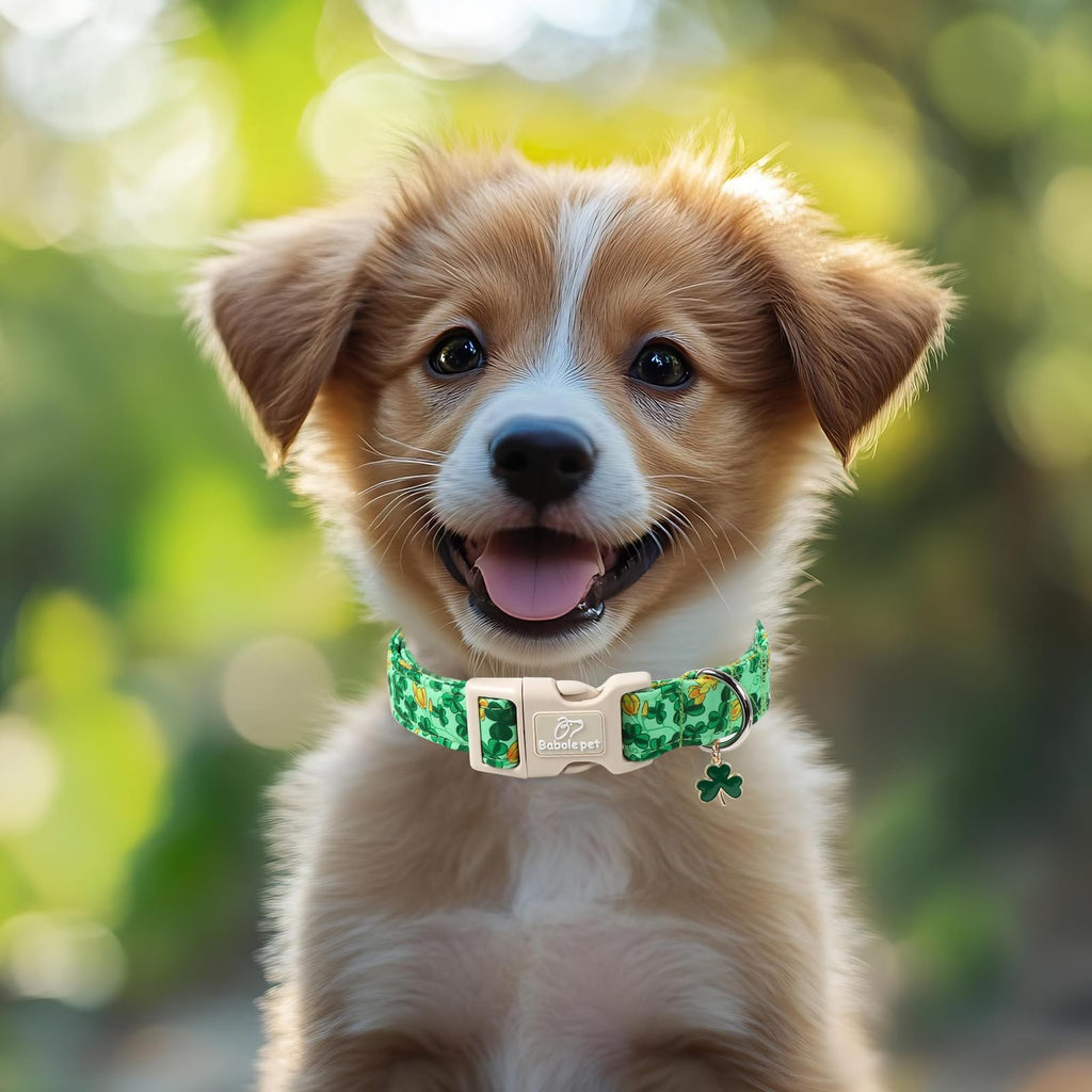 Babole Pet St. Patrick's Day Dog Collar for Large Dogs - Green Shamrock & Yellow Flower Print Dog Collars, Cute Irish Party Puppy Collar, Lightweight Adjustable St. Patricks Day Pet Collars XL