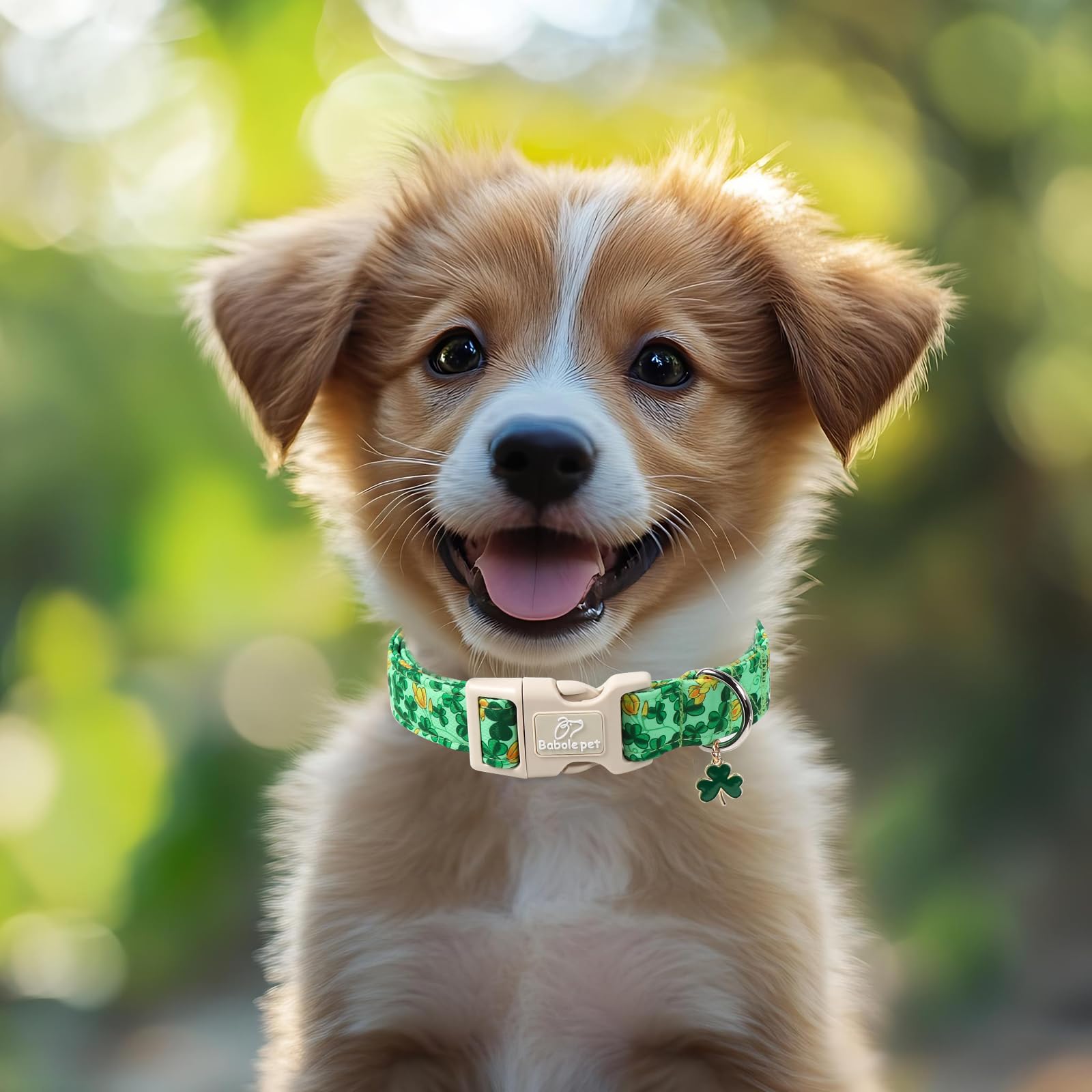 Babole Pet St. Patrick's Day Dog Collar for Large Dogs - Green Shamrock & Yellow Flower Print Dog Collars, Cute Irish Party Puppy Collar, Lightweight Adjustable St. Patricks Day Pet Collars XL