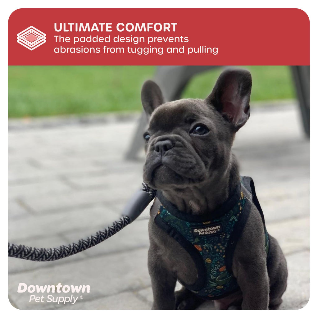 Downtown Pet Supply Step-in Dog Harness – No Pull, Adjustable Padded Mesh with Reflective Trim, Secure Buckle Strap – Comfortable & Breathable Small Dog Harness, Large, Dinosaur
