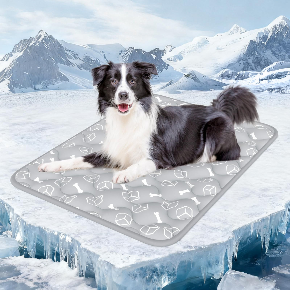 Rywell Dog Cooling Mat 2.0, Ocean Blue,30" x 20" Thick & Durable Cooling Mat for Dogs, Long-Lasting Cool with Waterproof & Color-Changing Arc-Chill Tech (Q-Max>0.5) Washable& Non-Toxic