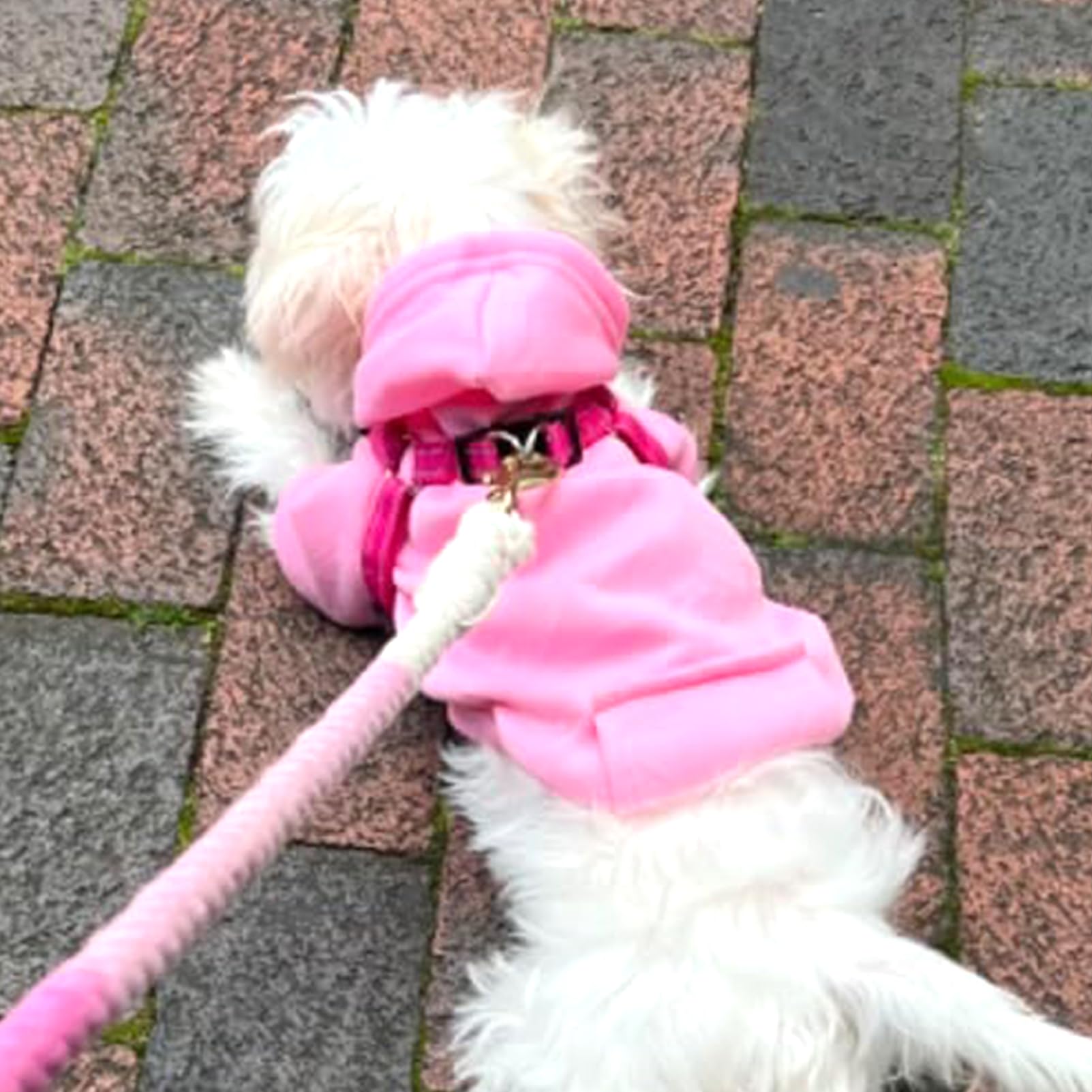 Soft Dog Hoodies for Small Dogs, Warm Fleece Puppy Clothes with Pocket
